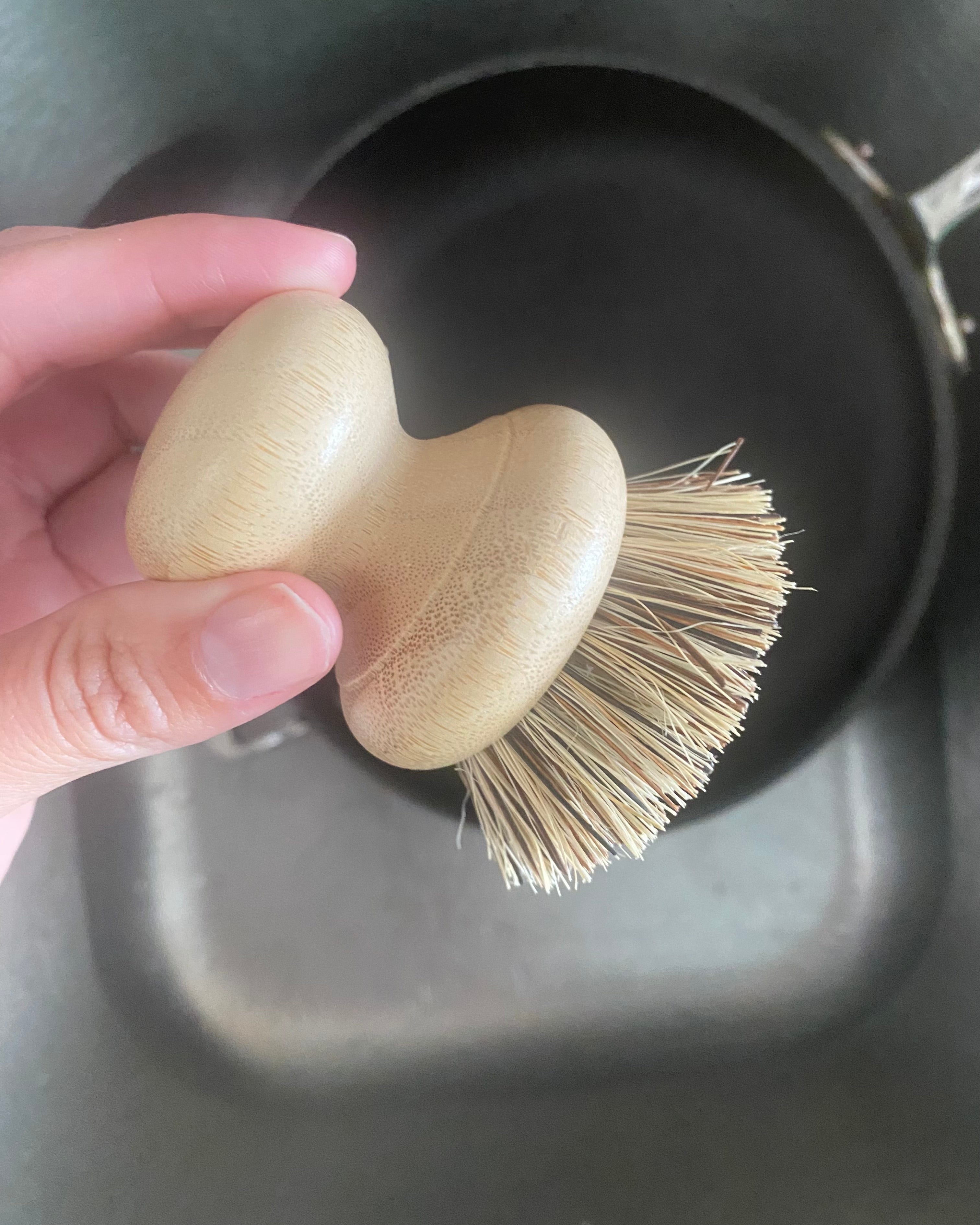 Casa Agave™ Pot Scrubber