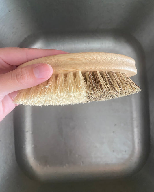 CASA AGAVE® Duo Tone Vegetable Brush | General Cleaning